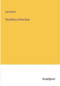 bokomslag The Ethics of the Dust