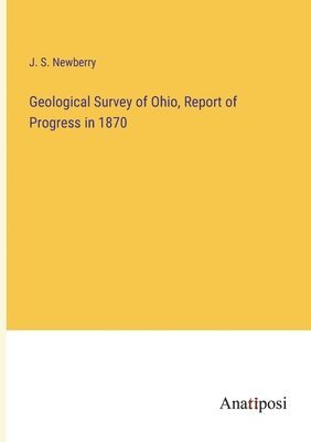 bokomslag Geological Survey of Ohio, Report of Progress in 1870