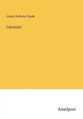 bokomslag Calvinism