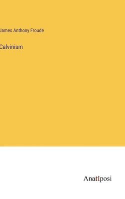 bokomslag Calvinism