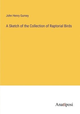 bokomslag Sketch of the Collection of Raptorial Birds