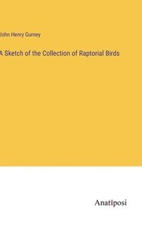 bokomslag Sketch of the Collection of Raptorial Birds