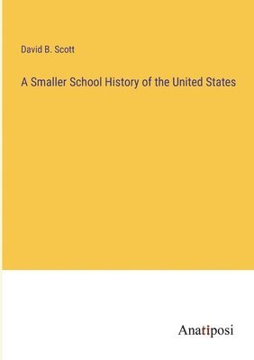 bokomslag A Smaller School History of the United States