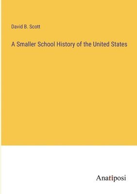 bokomslag Smaller School History of the United States