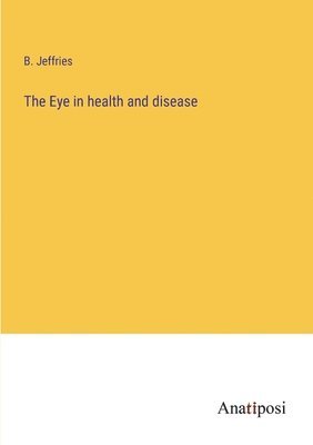 bokomslag The Eye in health and disease