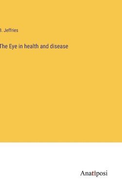 bokomslag Eye in health and disease