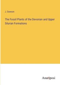 bokomslag The Fossil Plants of the Devonian and Upper Silurian Formations