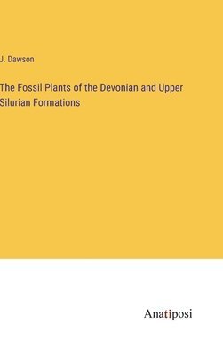 bokomslag The Fossil Plants of the Devonian and Upper Silurian Formations