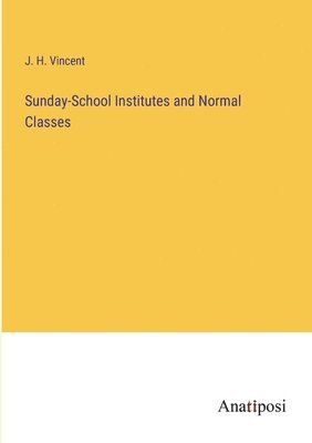 bokomslag Sunday-School Institutes and Normal Classes