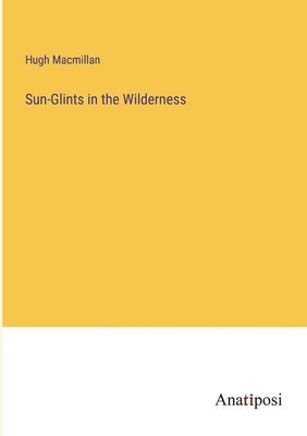 Sun-Glints in the Wilderness 1