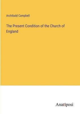 bokomslag Present Condition of the Church of England