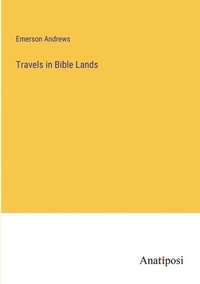 bokomslag Travels in Bible Lands