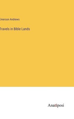 bokomslag Travels in Bible Lands