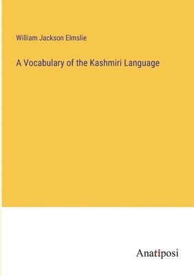 bokomslag A Vocabulary of the Kashmiri Language