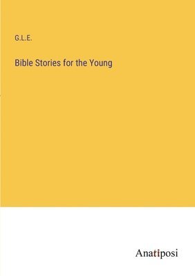 bokomslag Bible Stories for the Young