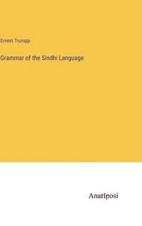 bokomslag Grammar of the Sindhi Language