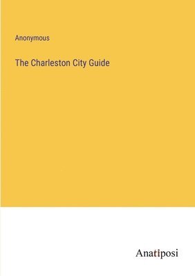 bokomslag The Charleston City Guide