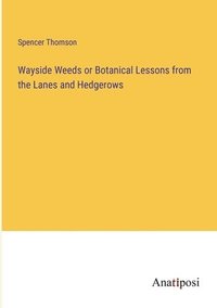 bokomslag Wayside Weeds or Botanical Lessons from the Lanes and Hedgerows