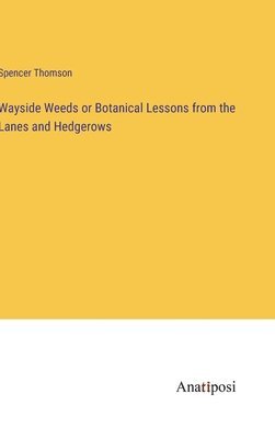 bokomslag Wayside Weeds or Botanical Lessons from the Lanes and Hedgerows