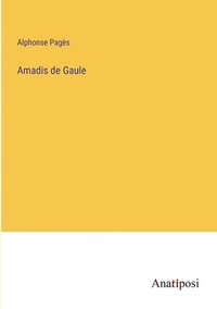 bokomslag Amadis de Gaule