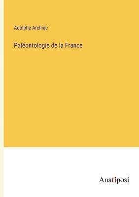 bokomslag Paleontologie de la France