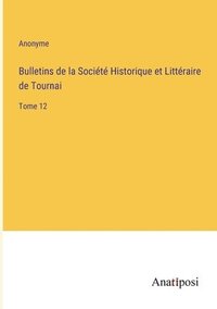 bokomslag Bulletins de la Société Historique et Littéraire de Tournai