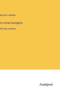 bokomslag Le roman bourgeois