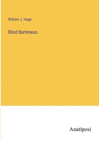 bokomslag Blind Bartimeus