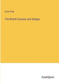 bokomslag The British Grasses and Sedges