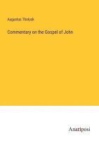 bokomslag Commentary on the Gospel of John