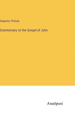 bokomslag Commentary on the Gospel of John