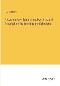 bokomslag Commentary, Explanatory, Doctrinal, and Practical, on the Epistle to the Ephesians