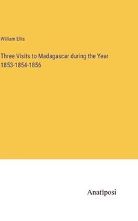 bokomslag Three Visits to Madagascar during the Year 1853-1854-1856