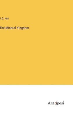 bokomslag Mineral Kingdom