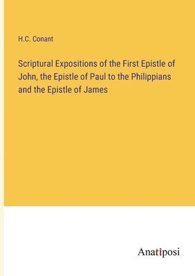 bokomslag Scriptural Expositions of the First Epistle of John, the Epistle of Paul to the Philippians and the Epistle of James