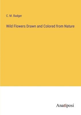 Wild Flowers Drawn and Colored from Nature 1