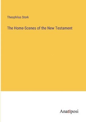 Theophilus Stork - Home-Scenes of the New Testament, Häftad