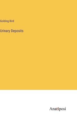 bokomslag Urinary Deposits