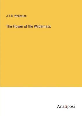 bokomslag Flower of the Wilderness