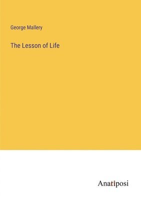 bokomslag Lesson of Life