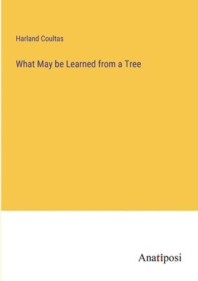 What May be Learned from a Tree 1