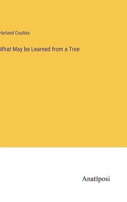 What May be Learned from a Tree 1