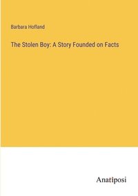 bokomslag The Stolen Boy