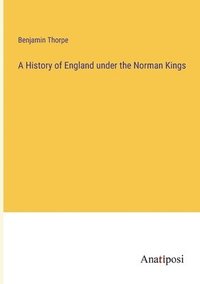 bokomslag A History of England under the Norman Kings
