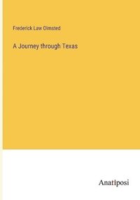 bokomslag A Journey through Texas
