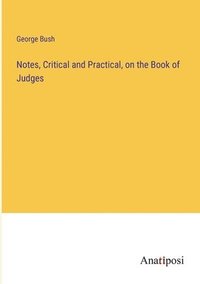 bokomslag Notes, Critical and Practical, on the Book of Judges