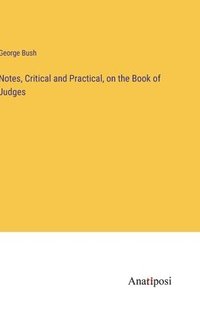 bokomslag Notes, Critical and Practical, on the Book of Judges