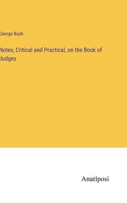 bokomslag Notes, Critical and Practical, on the Book of Judges