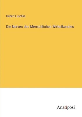 Nerven des Menschlichen Wirbelkanales