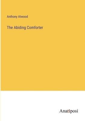 bokomslag Abiding Comforter